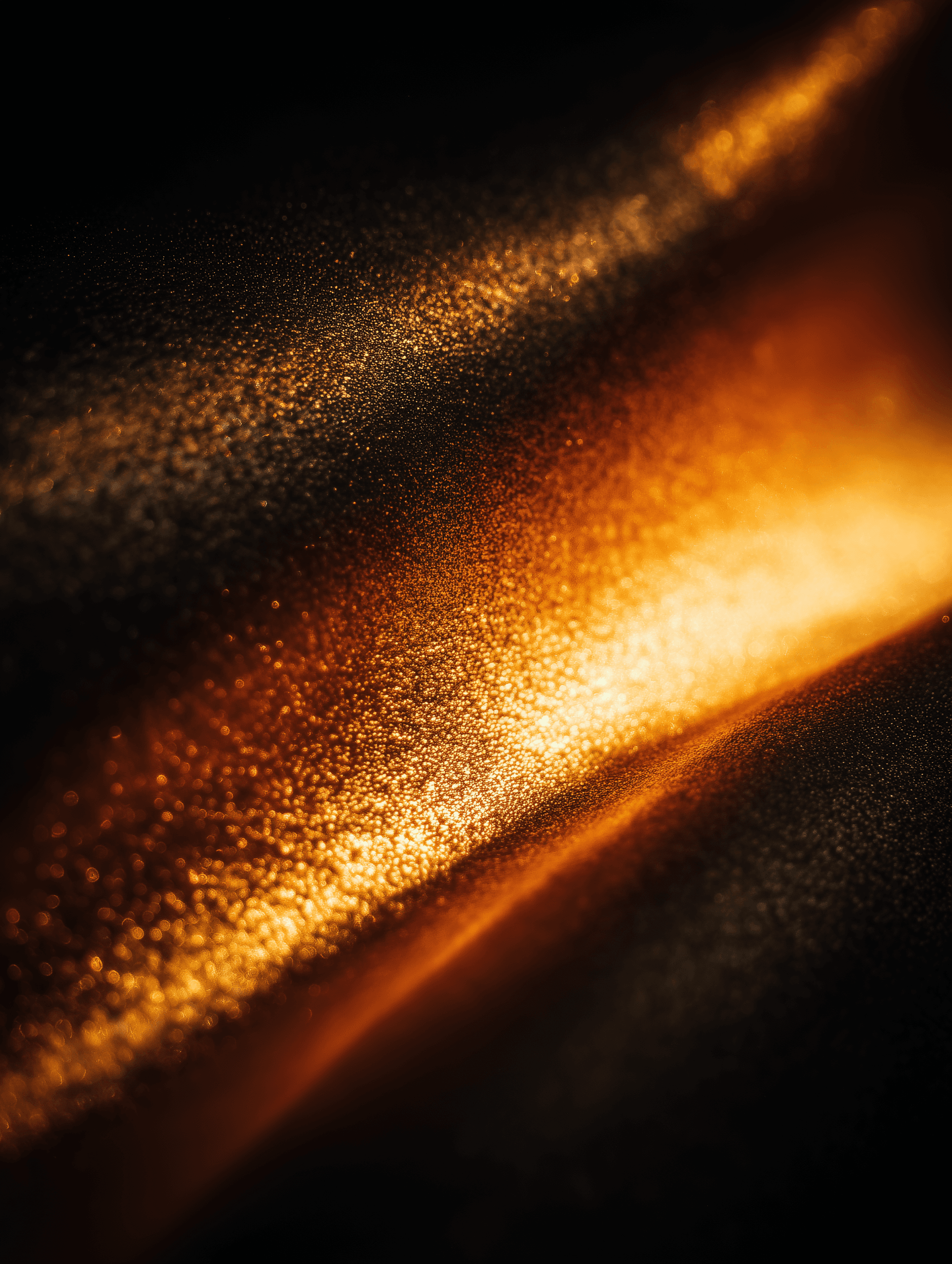 Warm golden-hour light